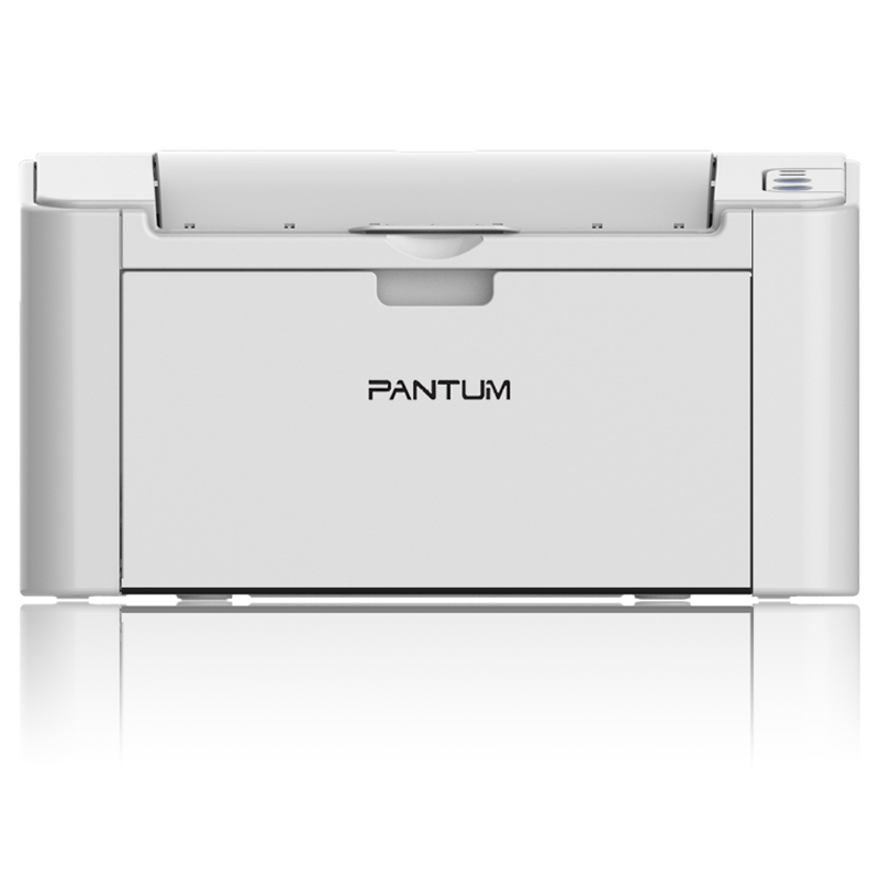 奔图（PANTUM) P2505N 黑白激光打印机 白色(单位：台）